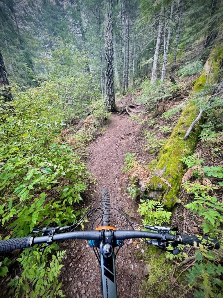Over the handlebar view of a mountain bike cockpit high over Tucson in the forest on Mt. Lemmon, Arizona.