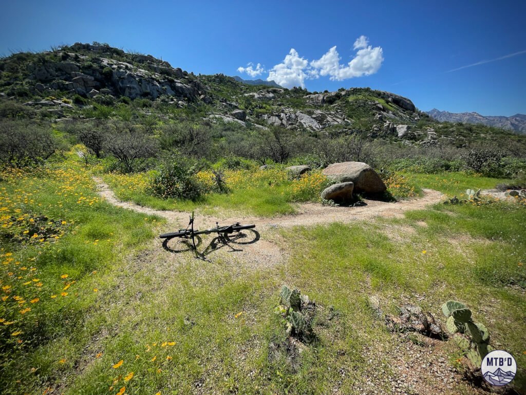 Mountain bike resting trailside on the clockwise climb of Around the Mountain trail at Golder Ranch 50 Year network Tucson Arizona