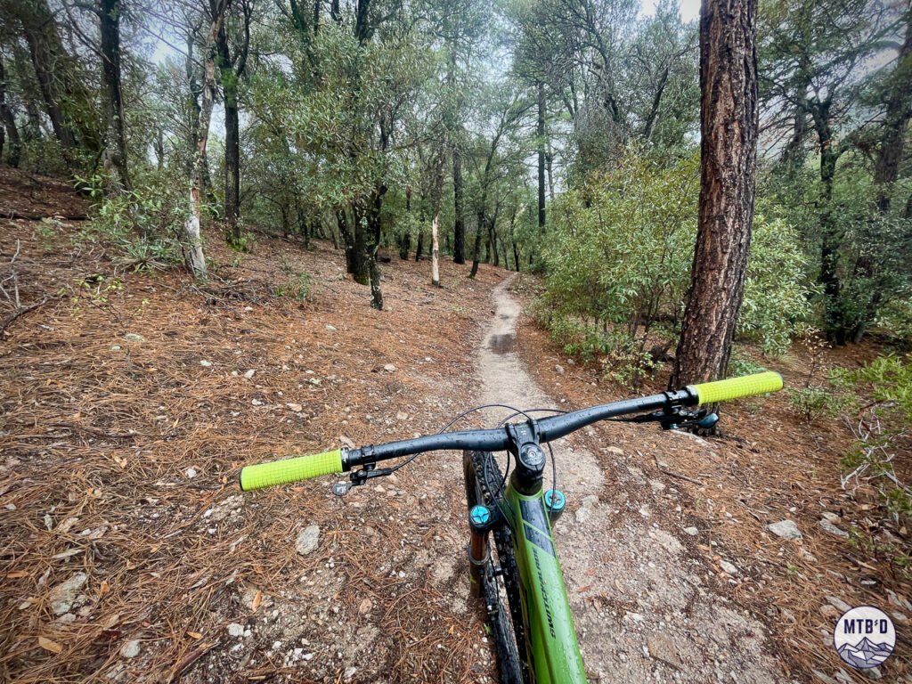 Mountain bike handlebars in oak woodland along seasonal creek midway down Bug Springs Trail, Mt. Lemmon Tucson Arizona