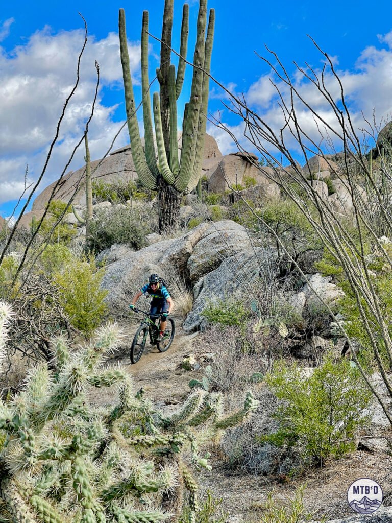 Mountain biker dropping off granite rock feature beneath saguaro cactus on Gem Trail, Golder Ranch, Tucson Arizona