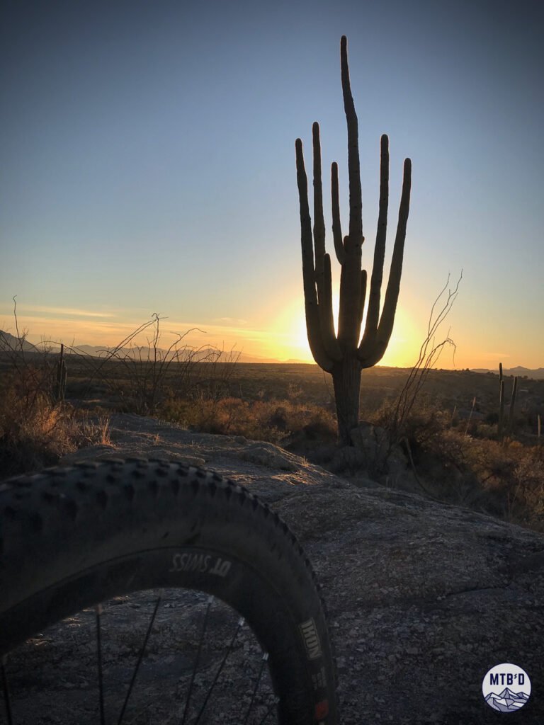 Silhouette of mountain bike front tire and saguaro cactus at sunset midway down Gem Trail, Golder Ranch, Tucson Arizona