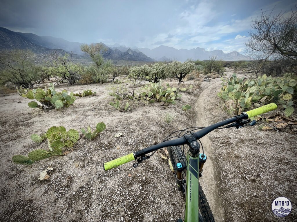 Singletrack on Lower 50 Year Trail's Rocket Ship segment with winter storm clearing over Catalina Mountains and Pusch Ridge in Tucson Arizona