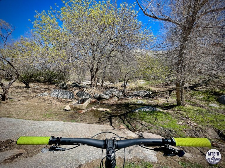 Cattle tank with fall foliage along Stone Cactus trail on the former Cowpies section, Golder Ranch trail network, Tucson Arizona
