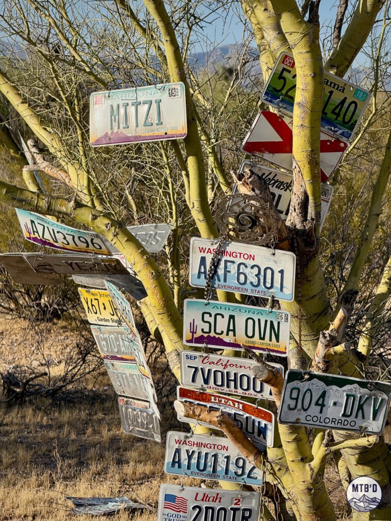 License plate tree at Fantasy Island Tucson