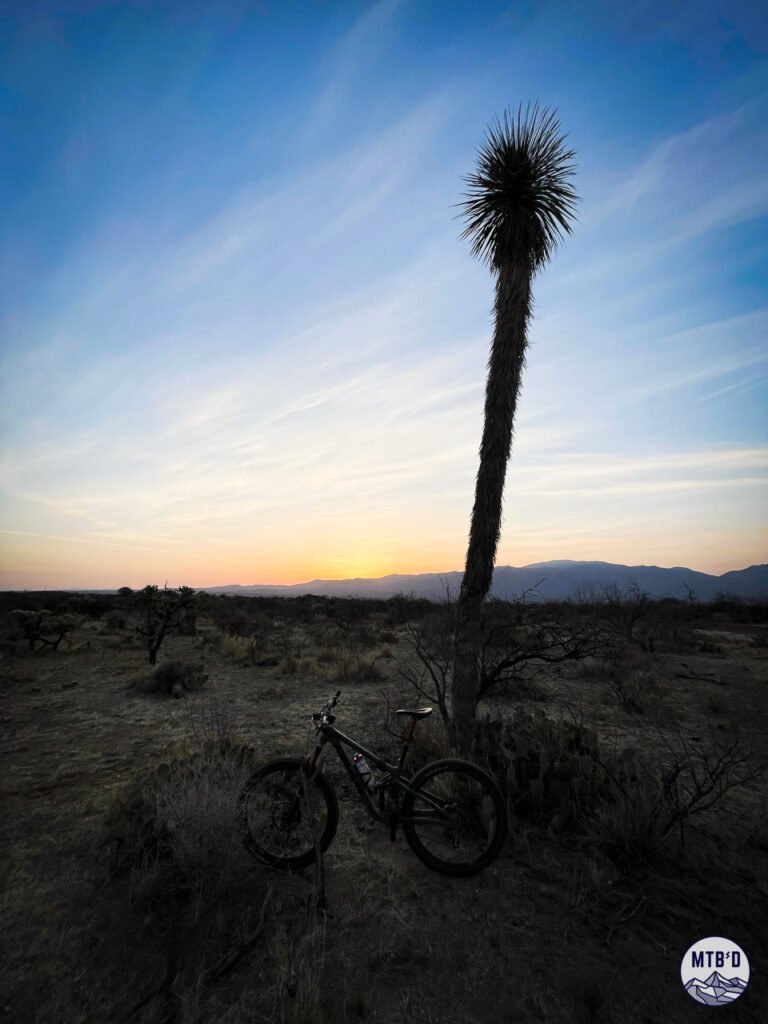 Mountain bike at the base of an enormous yucca at sunset in Honeybee Rail X Ranch trail network, Tucson Arizona
