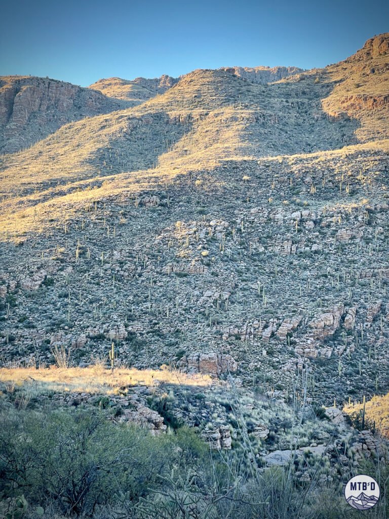 Saguaro cacti and canyon walls of the Santa Catalina Mountains along La Milagrosa Trail drainage, Mt. Lemmon Tucson Arizona