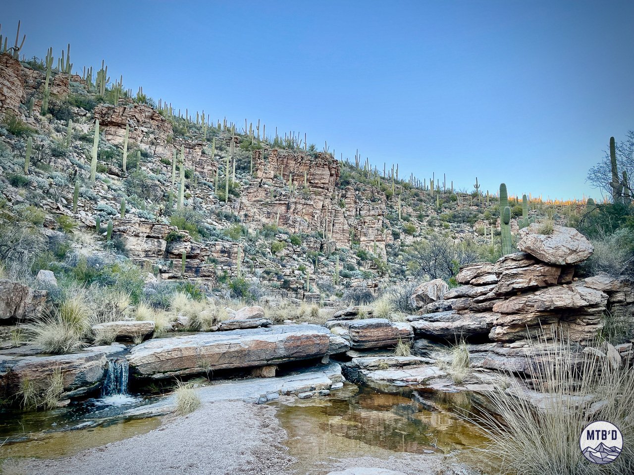 Small waterfall over rock ledge into sandy pools surrounded by saguaro cactus in La Milagrosa canyon drainage, Santa Catalina Mountains Tucson Arizona