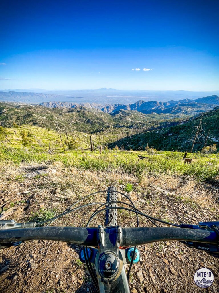 Mountain bike handlebars looking south from near the summit of Mt. Lemmon dropping into Aspen Draw alpine descent, Santa Catalina Mountains Tucson Arizona