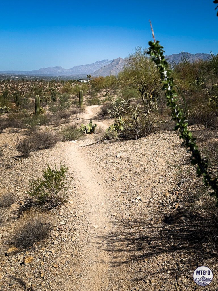 Desperado trail in Sweetwater Preserve, mountain biking in Tucson Arizona
