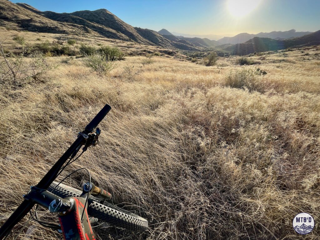 View of the rugged Tortolita Mountain Park over bike handlebars