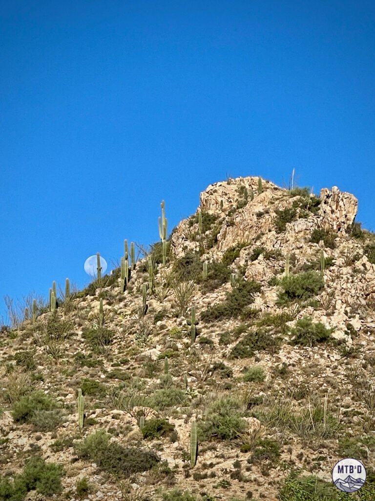 Moonset over the Tortolita Mountains