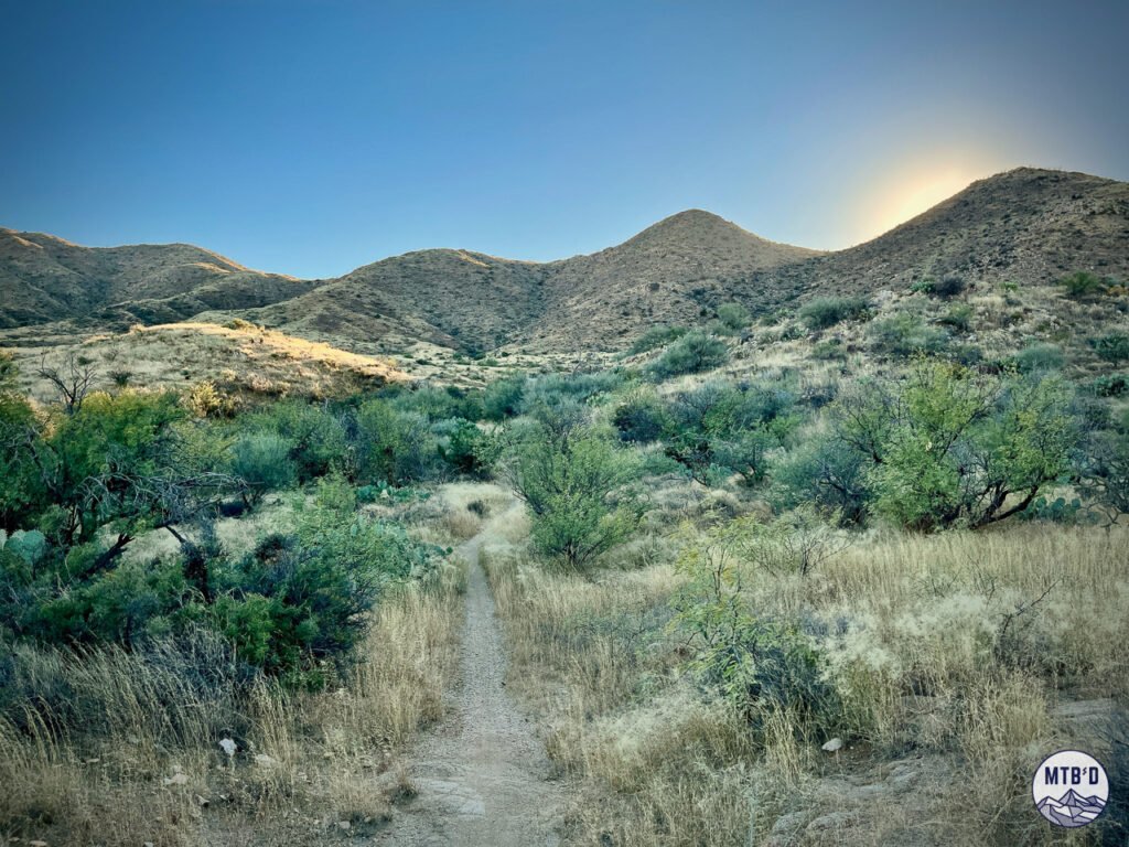 Singletrack trail leading into Tortolita Mountain Park near Tucson