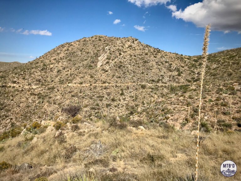 Bench cut singletrack across Tortolita Mountain Park.