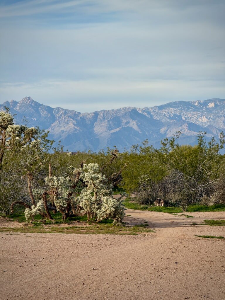 Mountain bike trails at Fantasy Island, Tucson