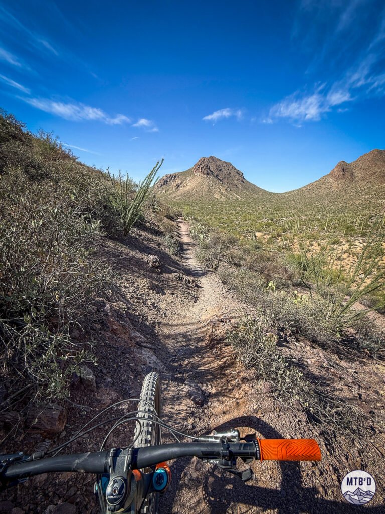 Riding up singletrack in Tucson Mountain Park