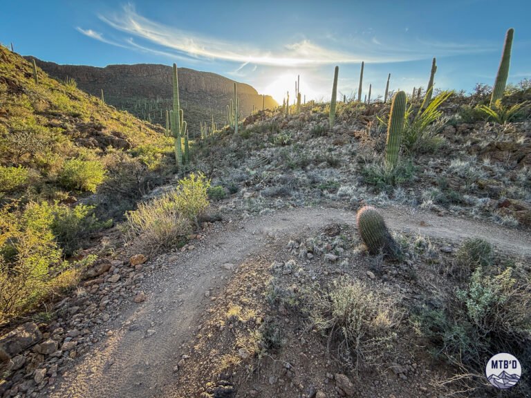 Singletrack switchback in Tucson Mountain Park at sunset.