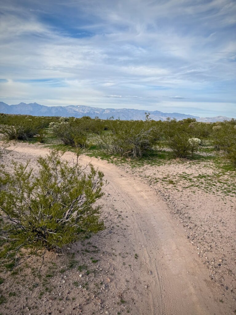 Singletrack at Fantasy Island MTB trails in Tucson