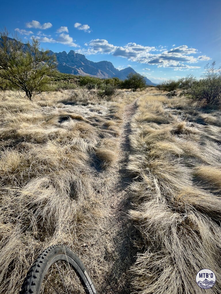 Mountain bike trail through Catalina State Park flowing desert singletrack Tucson Arizona